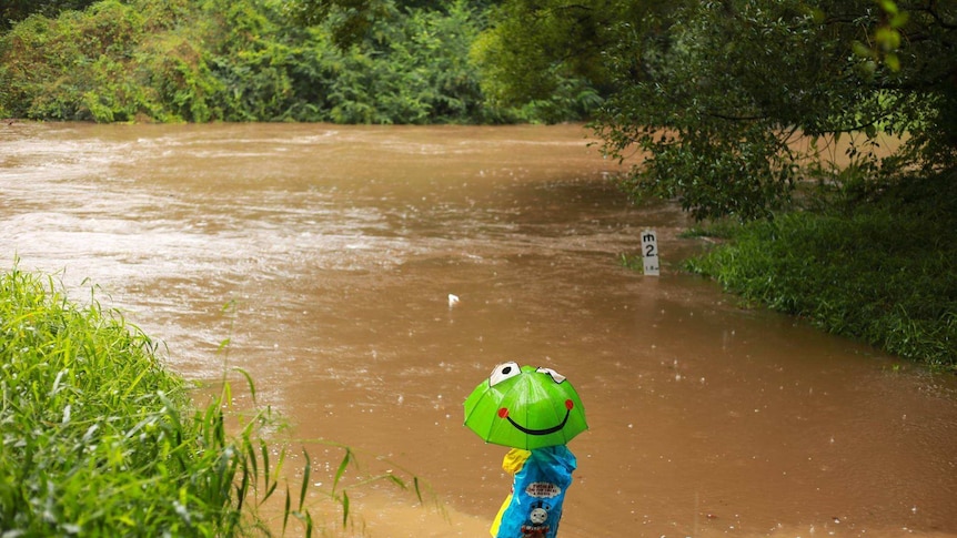 Person with umbrella watching rising creek at Eureka