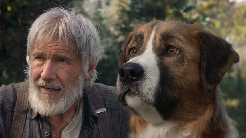 A man with unkempt grey hair and beard kneels down next to large St. Bernard/Scotch Collie dog in rocky and lush wilderness.