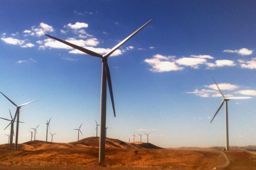 A wind farm near Burra, South Australia.