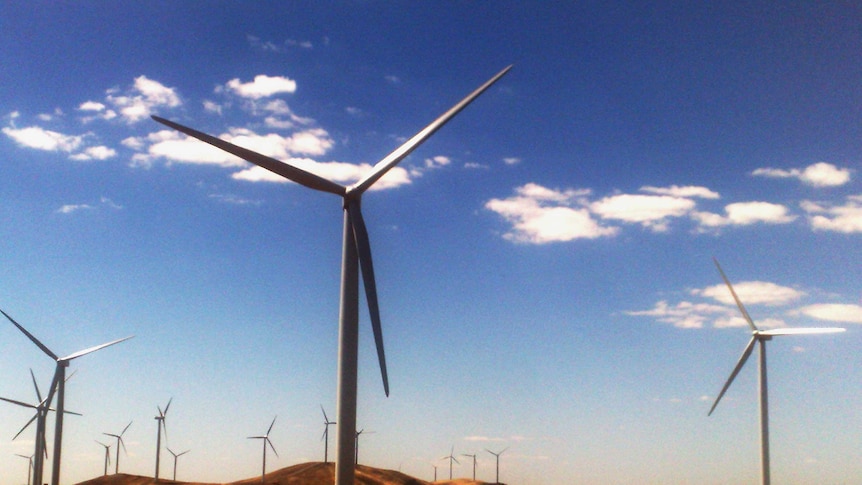 A wind farm in South Australia.