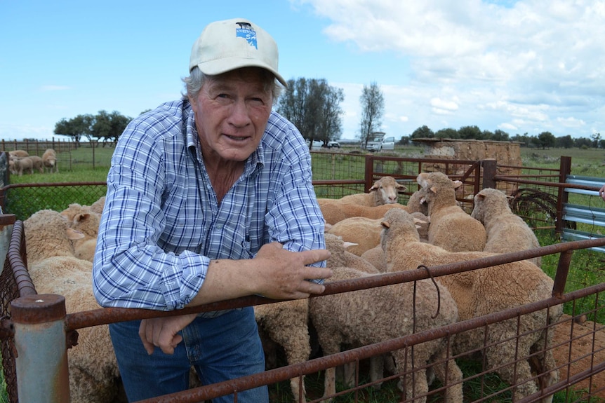 Livestock SA President Geoff Power leaning on a fence at his farm in Orroroo.