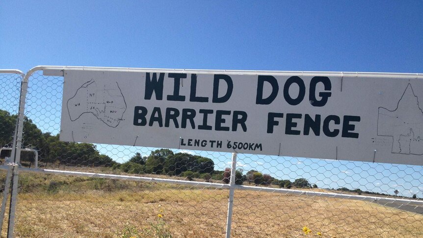 Wild dog fence in western Qld in April, 2013