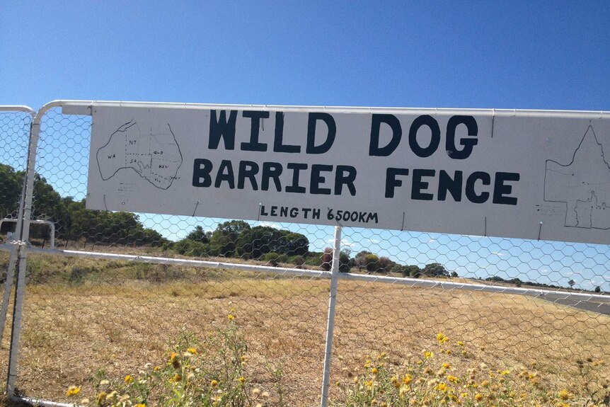 Wild dog fence in western Qld in April, 2013
