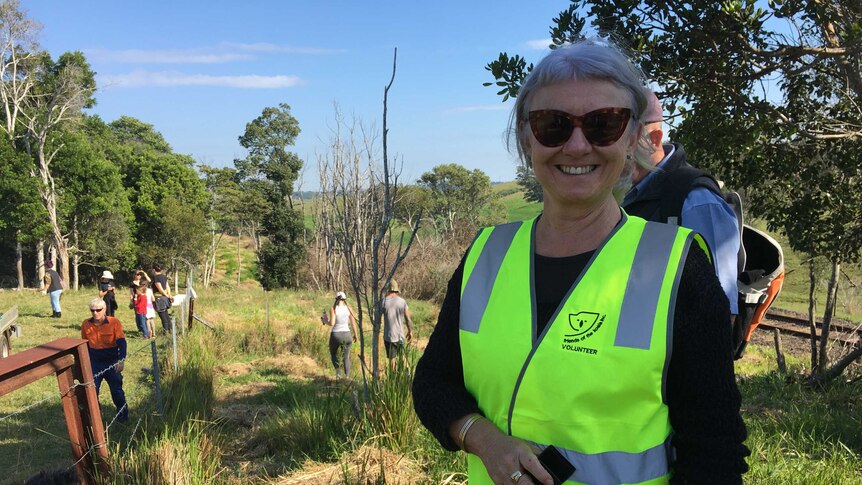 A woman in a high viz vest stands in front of people planting trees
