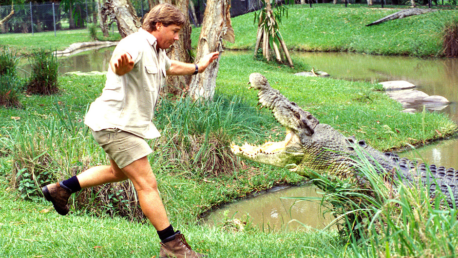 A crocodile lunges at Steve Irwin at Australia Zoo. Date unknown.