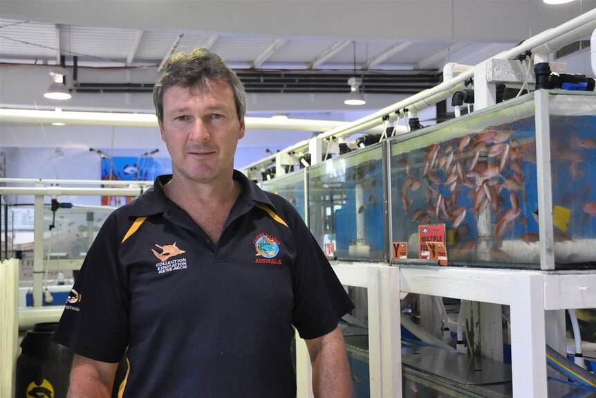 Ryan Donnelly is strategic projects manager for Cairns Marine, a Cairns-based aquarium fish collector
