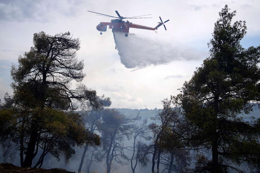 A helicopter drops water over a smoky woodland area.