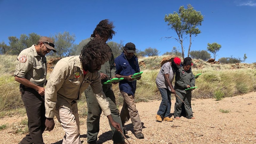 A group of Indigenous trackers use iPads to look for bilbies.