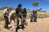 A group of Indigenous trackers use iPads to look for bilbies.