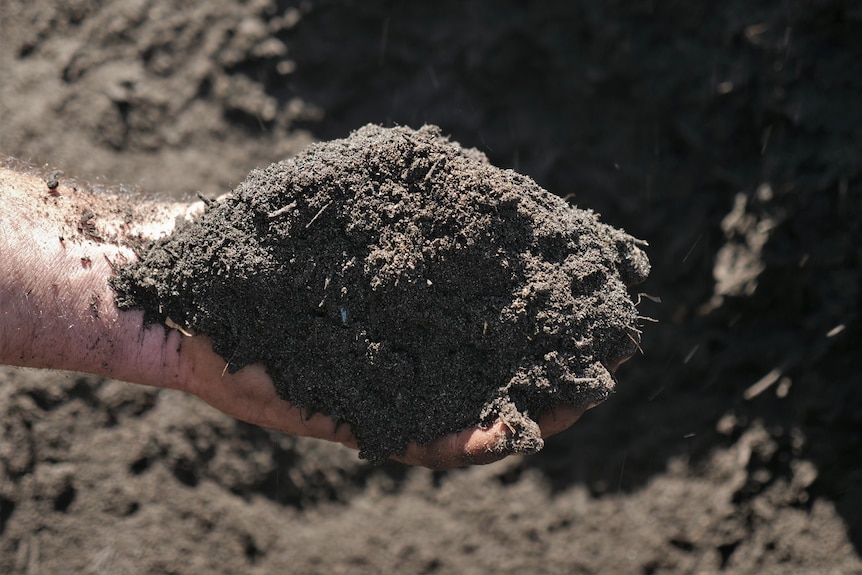 a pile of compost in a hand