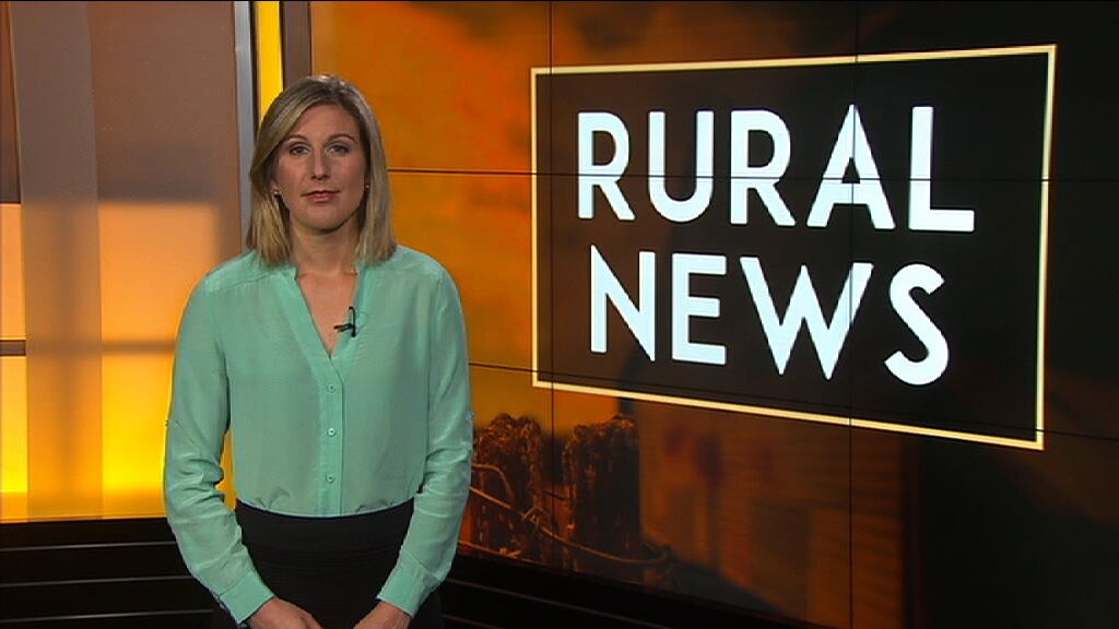 Rural News - ABC News