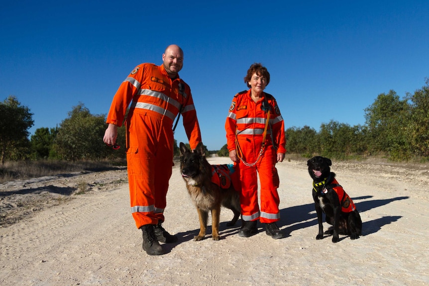 SES search dogs Sullie and Samwise stand with their handlers Andrew King and Leonie Briggs.