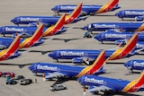 Rows of blue planes with Southwest written on them all grounded. 