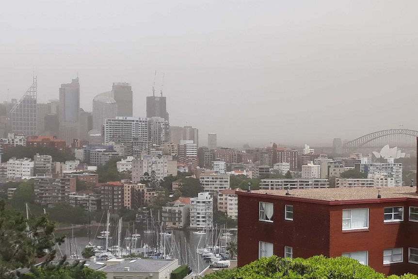 The dust storm over Sydney's CBD