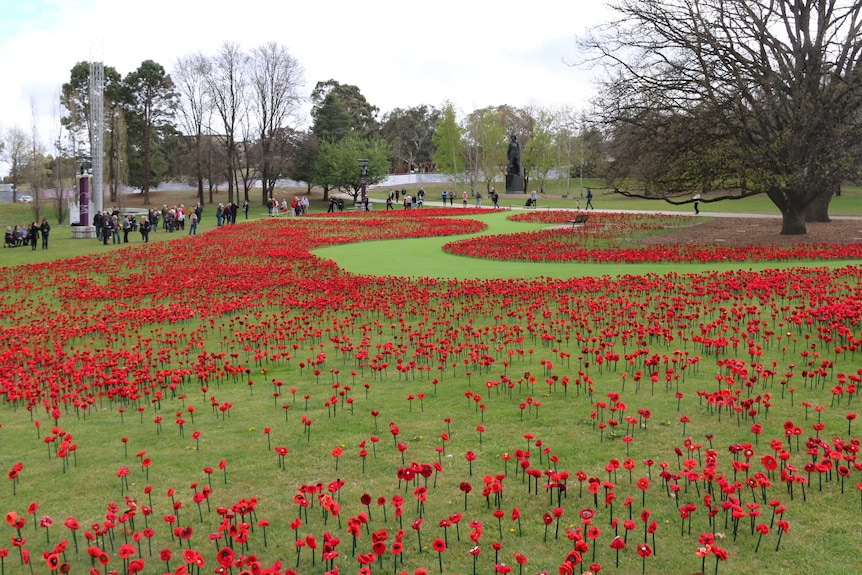 Thousands of hand-knitted poppies on the lawn of the Australian War Memorial.