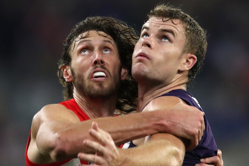 A Sydney Swans AFL player pushes against a Fremantle opponent as they both look at the ball in the air.