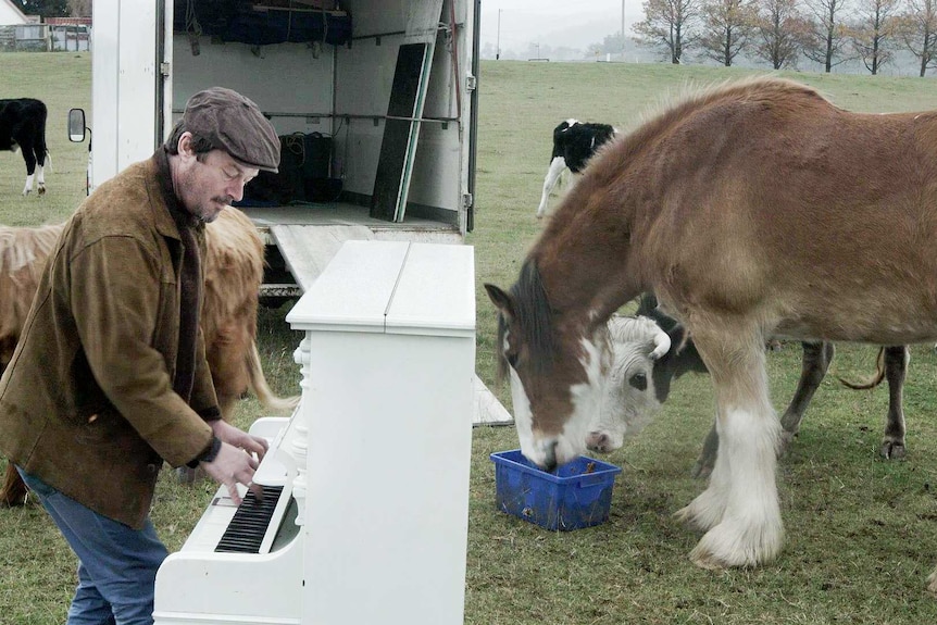 A man plays a piano while standing in a paddock. There is a big horse in the background