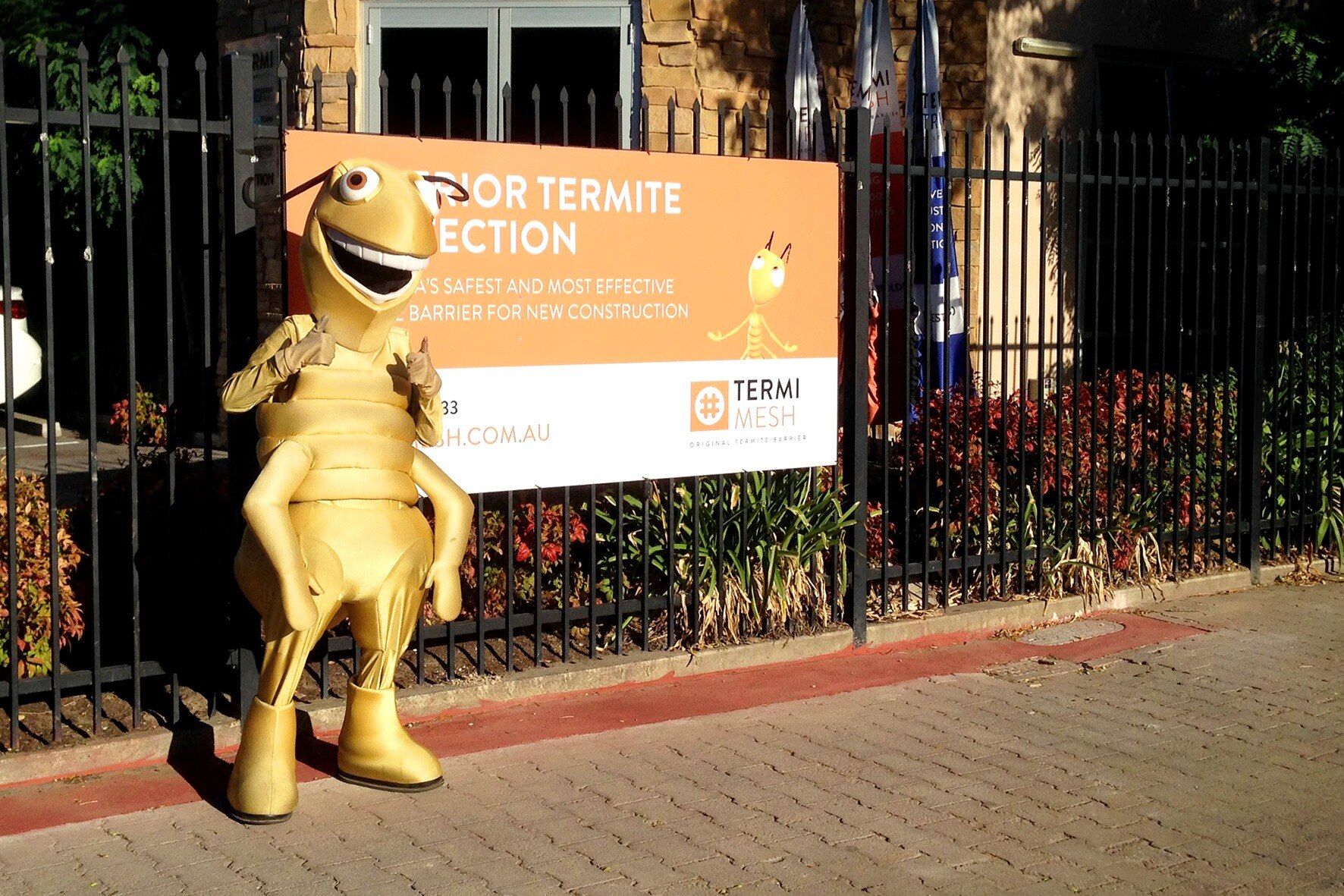 UNMASKED! Goodwood Road's dancing termite - ABC listen