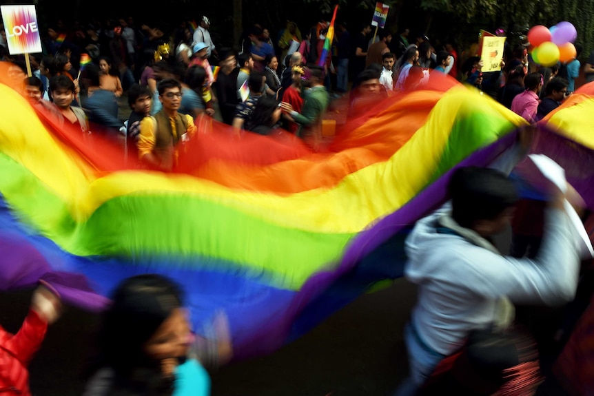 Rainbow flag on display during Delhi Queer Pride parade in New Delhi
