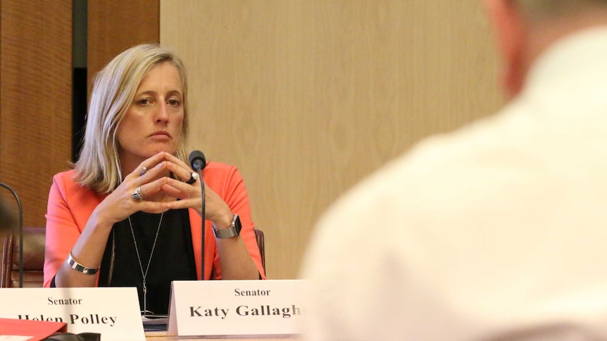Senator Katy Gallagher listens to Senator Mitch Fifield