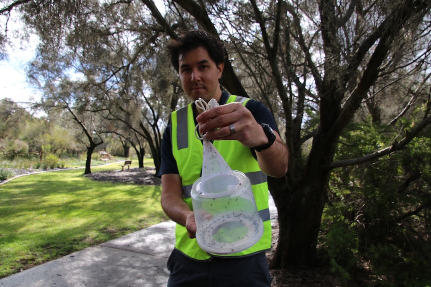  A man stands in a park wearing a yellow hi-vis vest holds a plastic box and net with mosquitos inside