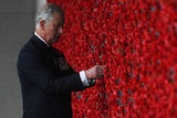 Prince Charles and Camilla pin red poppies to a wall covered in red flowers