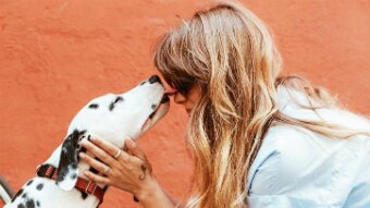 A dalmatian is seen on the left licking a blonde woman with sunglasses on. She has her hands on the dog's head.