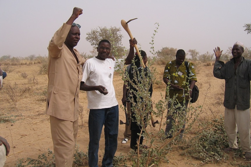 Project staff teaching farmers how to practice FMNR.