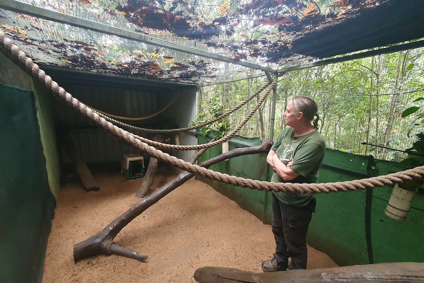 Lady standing inside animal enclosure