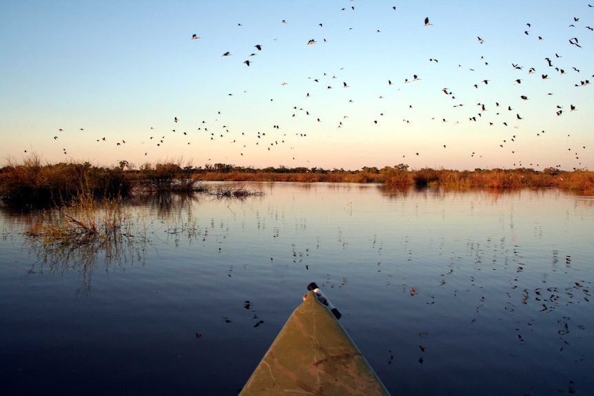 Sunset in wetlands