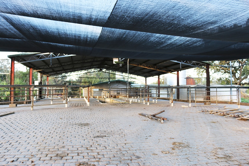 Empty dairy covered by black shade cloth at Main Arm.