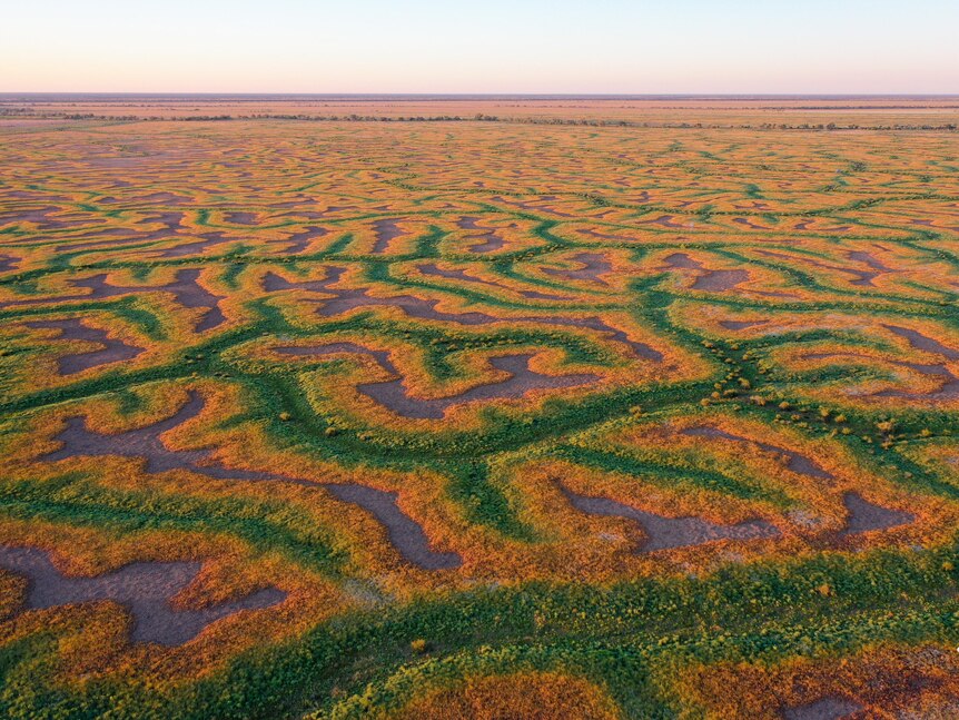 Channels that look like veins stretch to the horizon in the outback.