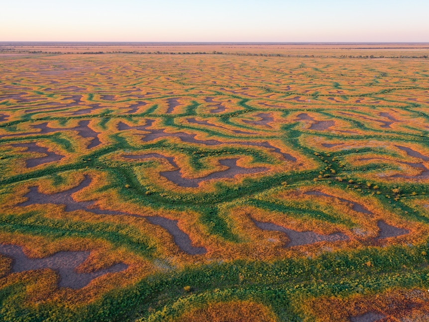 Channels that look like veins stretch to the horizon in the outback.