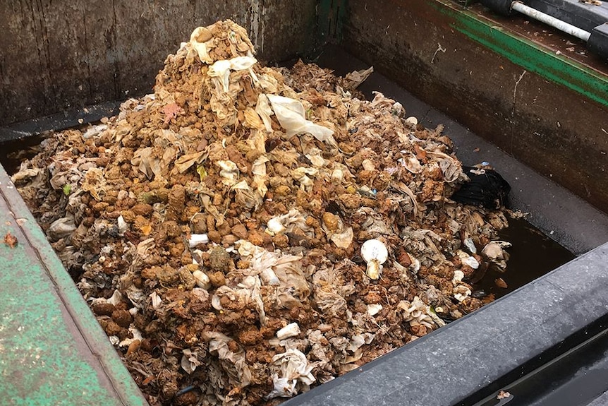 Flushed wipes and sanitary products removed from TasWater drains.