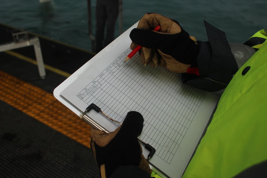 A gloved hand enters data onto a piece of paper on a clipboard, on the jetty