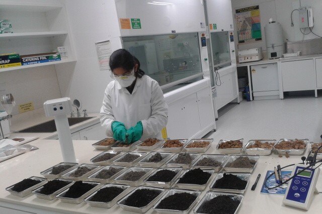 A researcher with little dishes of soil