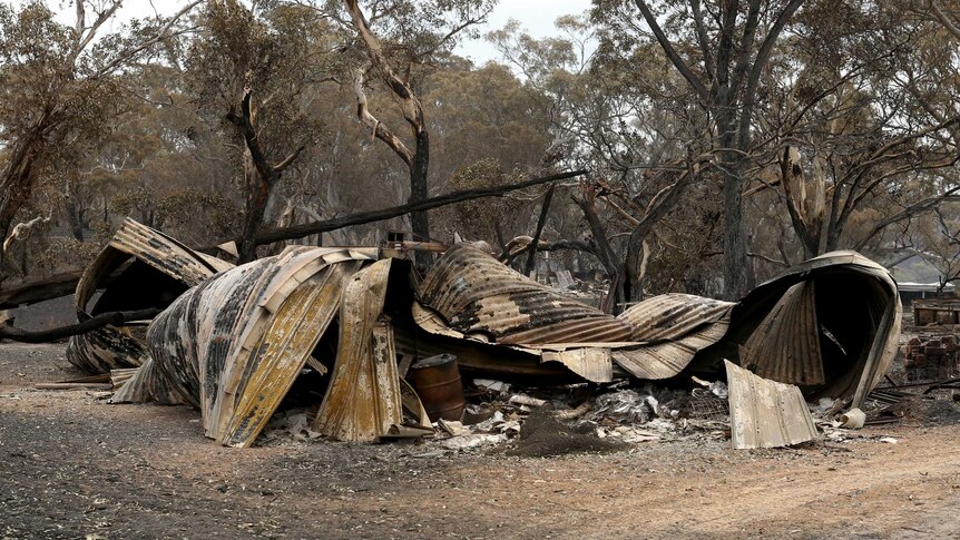 Twisted and charred remains of a home, amid burnt out gum trees