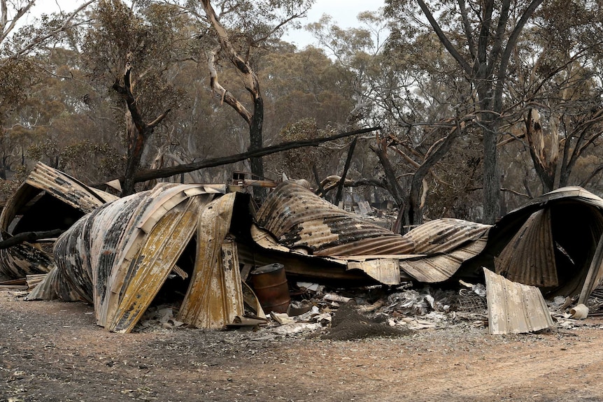 Twisted and charred remains of a home, amid burnt out gum trees
