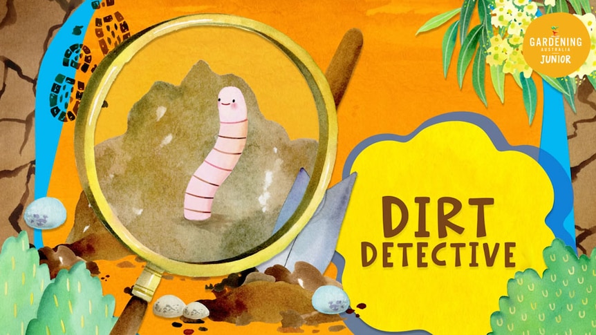Dirt Detective Image