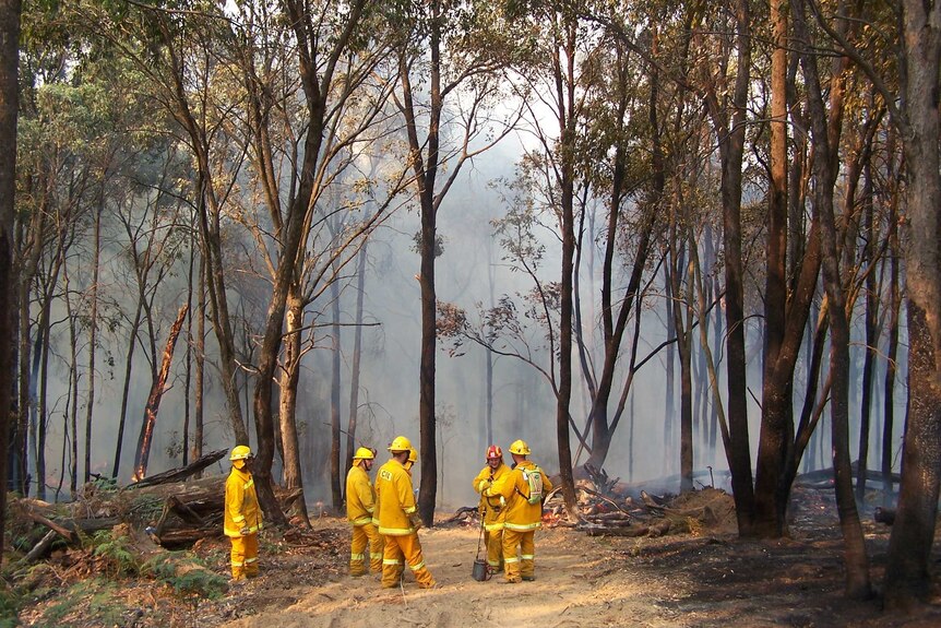 Group of CFA volunteers standing amid burnt trees, some flames and thick smoke.