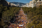 Thousands of protesters waving yellow and red flags walk down a tree-lined street