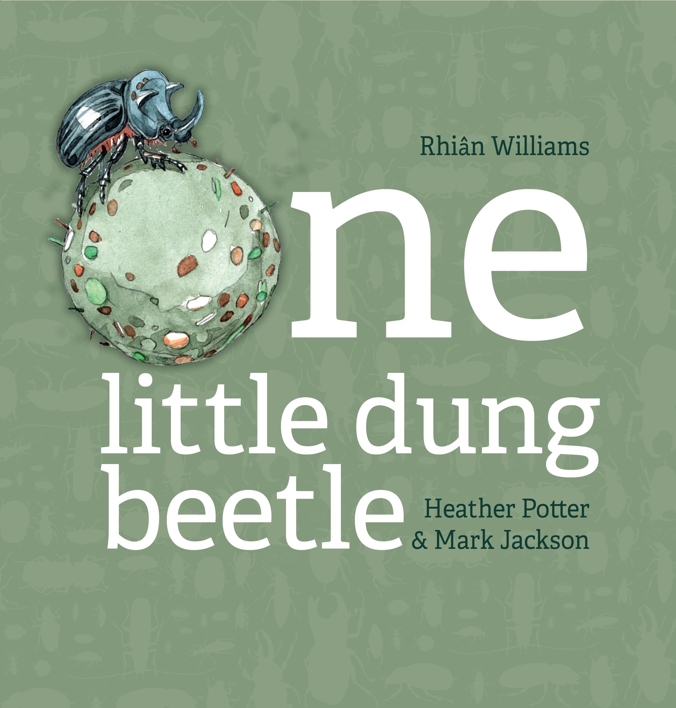 The amazing work of dung beetles