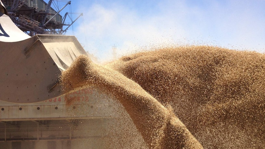 Grain being loaded onto an export ship in Western Australia