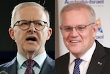 Side by side photos of Scott Morrison and Albanese, two middle-aged men wearing spectacles and dark suits