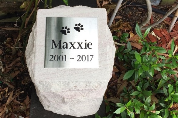 Max has a headstone in the backyard of Kasey's property for a story about what to do when the family pet dies.