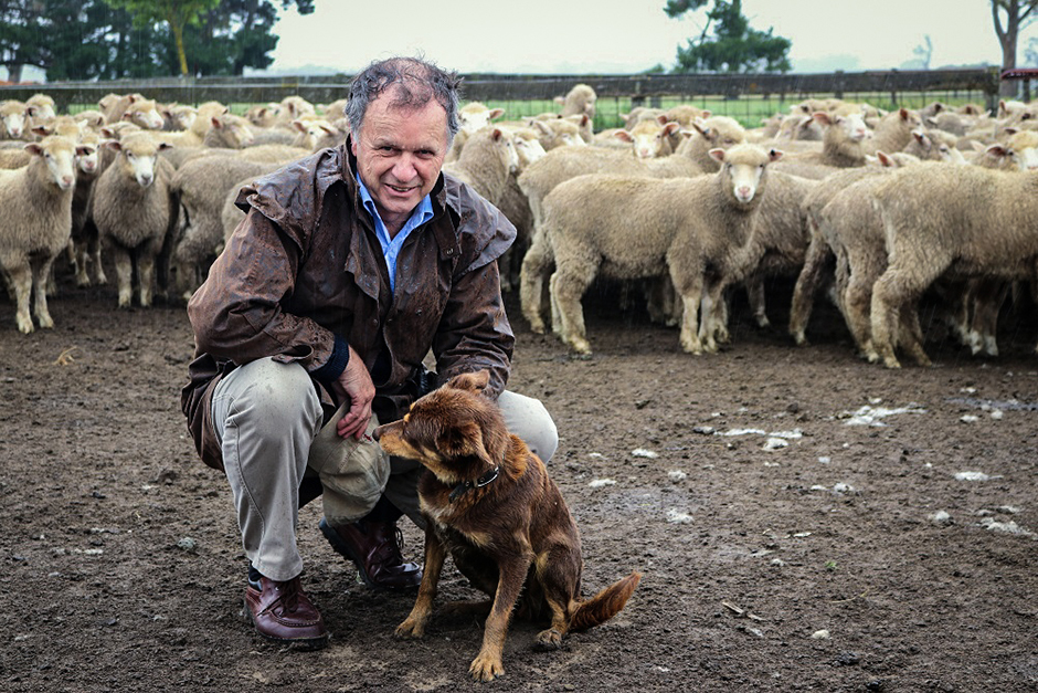 A man wearing an oilskin coat kneels with a red dog beside him, and a flock of sheep behind.