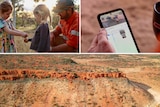 A composite image showing a ridge in the outback, a young family and a close-up of a phone.