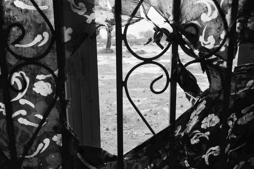 A view out a window from wrought iron bars fringed by tattered curtains
