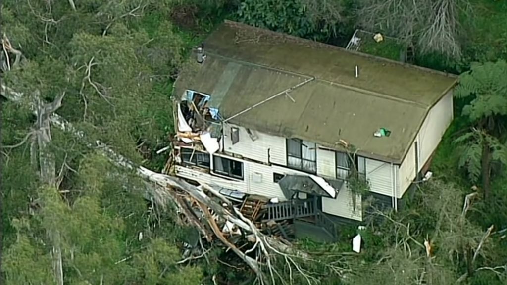 Severe winds uprooted trees and shattered homes in Victoria - ABC News