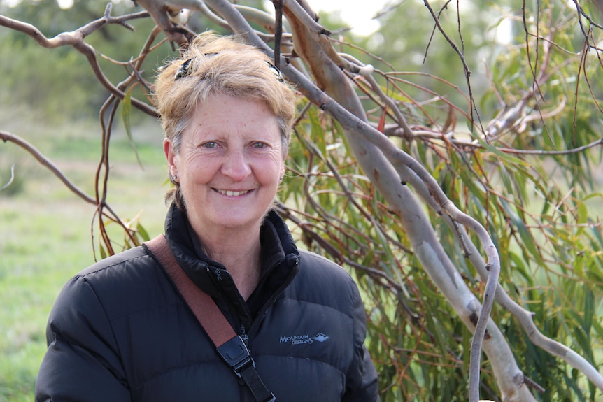 Dr Sally Bryant smiling, standing amongst the branches of a white gum tree on Hobart's Queens Domain. 